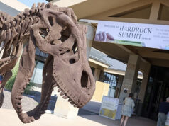 Hardrock Summit & the Denver Gem and Mineral Show: Cara & Bear Williams Give Us the Walk-About